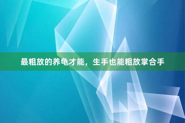 最粗放的养龟才能，生手也能粗放掌合手