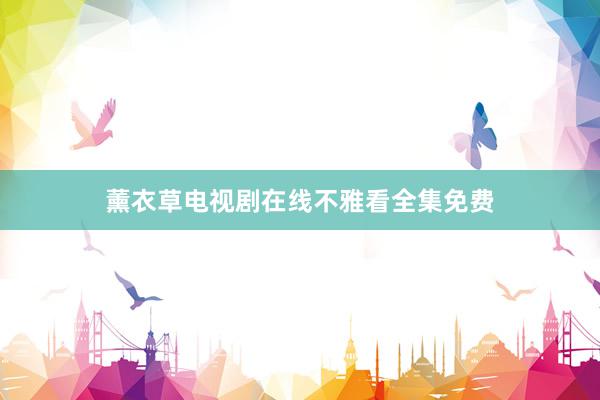 薰衣草电视剧在线不雅看全集免费