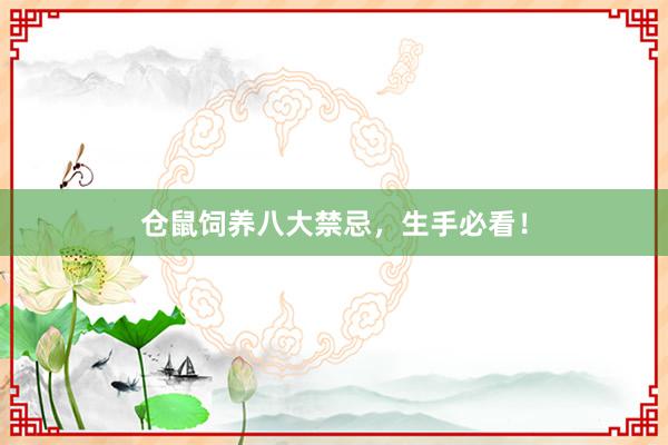 仓鼠饲养八大禁忌，生手必看！