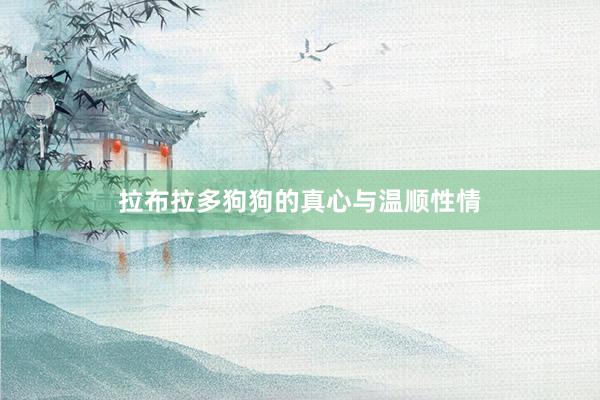 拉布拉多狗狗的真心与温顺性情